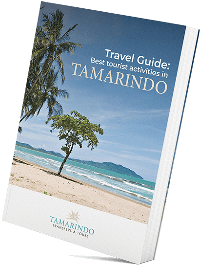Travel Guide: Best tourist activities in Tamarindo